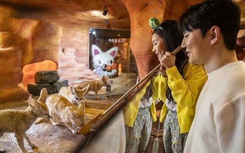 首爾Zoolung Zoolung室內動物主題樂園門票