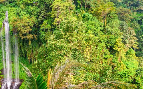 Excursió privada d'un dia a les cascades Sekumpul de Bali i al Pura Ulun Danu Bratan
