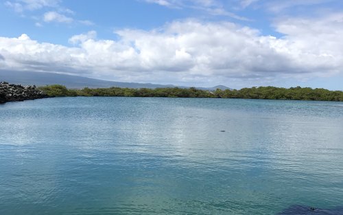 islands Galapagos
