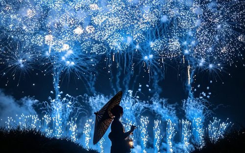 Lawatan ke Ibaraki Hitachi Seaside Park & Pertunjukan Bunga Api Tonegawa