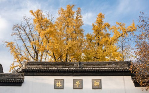 Eintrittskarte für den Löwenwaldgarten in Suzhou