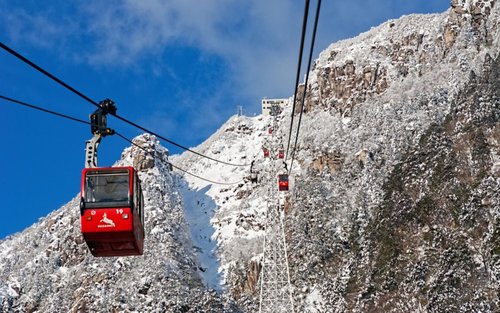 Nabana no Sato & Gozaishodake Ropeway Day Tour from Osaka