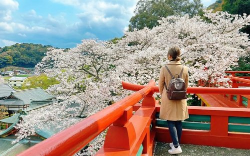 Kyushu Saga | Arita Porcelain Park & Takeo Onsen & Yūtoku Inari Shrine & Ōuo Shrine Day Trip (From Fukuoka)