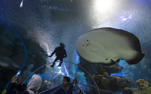 Tiket Aquaria KLCC di Kuala Lumpur