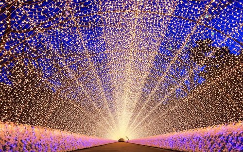 Departure from Nagoya | Japan's Largest Illumination Show, Nabana no Sato + Nagashima Outlet One-Day Tour