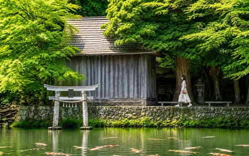 [Fukuokasta lähtö] Dazaifu Tenmangu -pyhäkkö, Yufuin, Beppu Kamado Jigoku (sis. pääsylipun) kiinankielinen opas