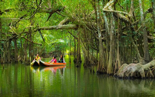 The Sri Phang Nga: Kayak, Trek & Waterfall Adventure From Khao Lak