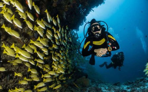PADI Advanced Open Water Diver Kursus fra Marsa Alam