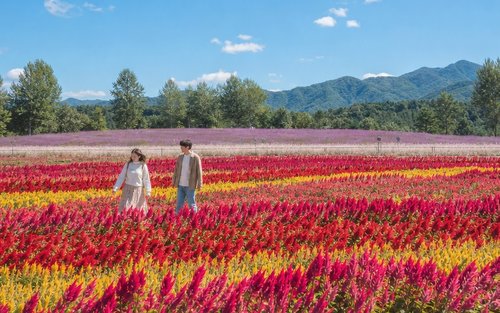UNESCO Hantan Canyon & DMZ & Seasonal Hot Attractions Day Tour