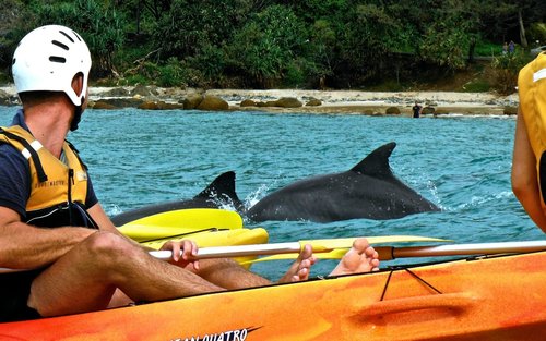 Byron Bay Half-Day Kayaking Adventure