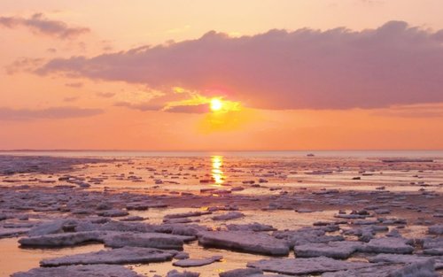 Asahiyama Zoo & Frozen Ice Sea Sunset Cruise Day Trip from Sapporo