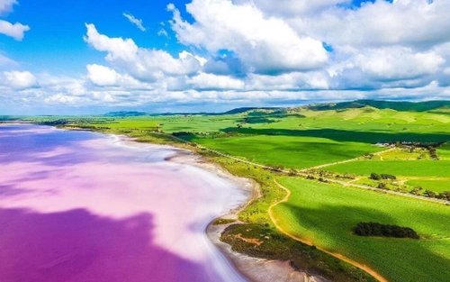 Adelaide Bumbunga Lake & Penfolds Estate Full-Day Small Group Tour