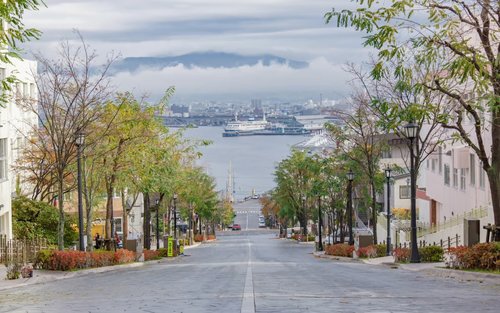 函馆山与早市半日私人岸上观光