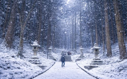 九州: 阿蘇火山口 & 上色見熊野座神社 & 高千穗峽一日遊 (福岡出發)