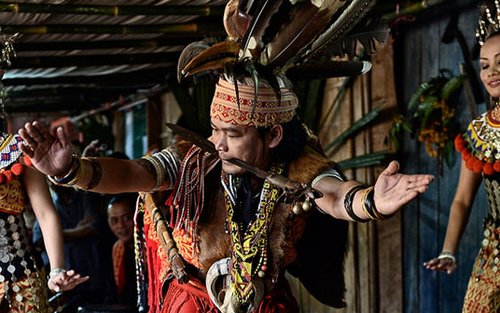 Dolphin Mangrove Cruise and Sarawak Cultural Village Tour in Kuching