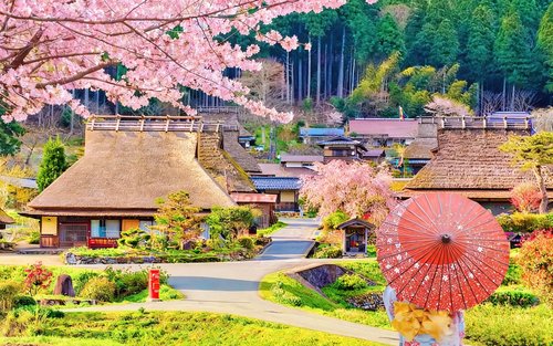 Kyoto's Seaside Wonders & Mountain Fairytales: A Day Trip to Amanohashidate, Ine Boathouses, & Miyama Thatched Village | Departing from Osaka