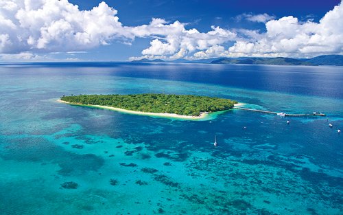 从凯恩斯出发的绿岛大堡礁全日游船之旅