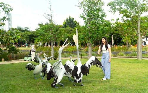 Aviary Park Ticket in Bintaro