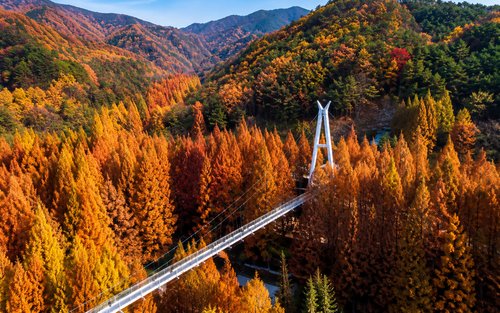 Khám phá Rừng Jangtaesan & Chợ Jungang Daejeon cùng ẩm thực địa phương