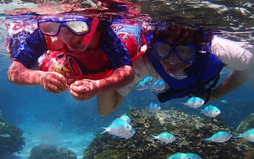 グアムでのプライベートシュノーケリングまたはフリーダイビング体験