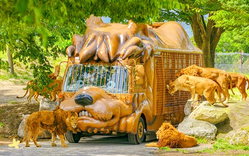 九州大分｜湯布院＆九州自然動物公園＆海地獄＆かまど地獄 日帰りツアー｜福岡発