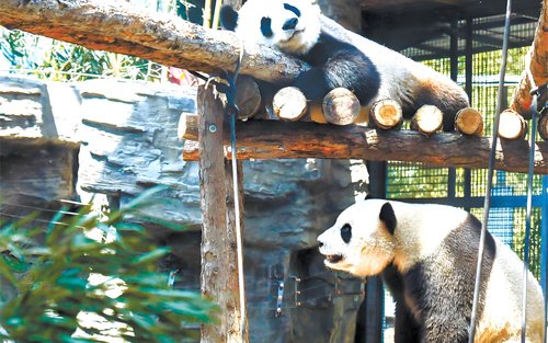 万里の長城（中国）の人気アクティビティ（2026）