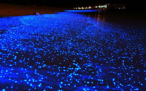 喀比出发萤光浮潜