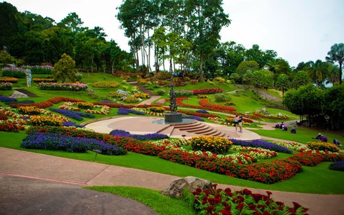 ทัวร์ครึ่งวันเชียงราย: วัดพระธาตุดอยตุง (เชิงวัฒนธรรม)