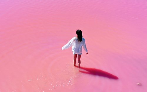 2 Days Western Australia Pink Lake Tour 