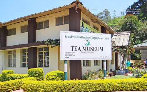 Excursion privée d'une journée à Munnar au départ de Kochi