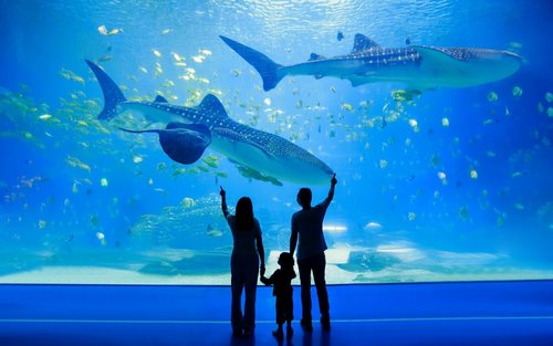Zhuhai Chimelong 2-hour travel photography + private car transfer
