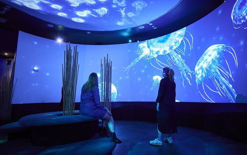 SEA LIFE Melbourne Aquarium Ticket