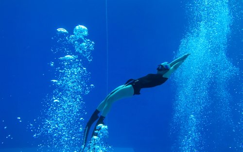 Daejeon Free diving One-Day Class Experience