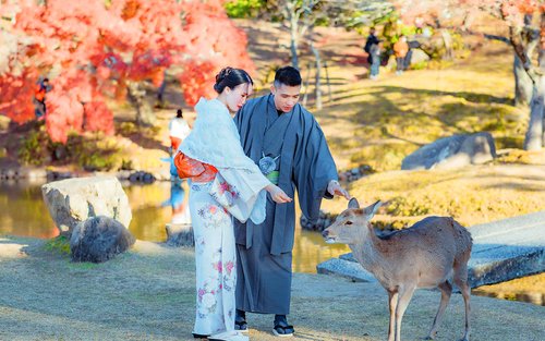 [Nara & Uji] Nara Park & Todai-ji Temple & Byodo-in Temple & Uji Matcha Gourmet & World Heritage Onsen Day Trip (From Osaka)