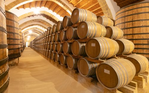 Tour di mezza giornata di degustazione di vini in piccolo gruppo a Marsala Cantine Florio