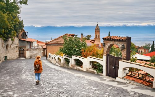 トビリシ発：カヘティ地方とシグナギを巡るガイド付きツアー（ワイン7種テイスティング付き）