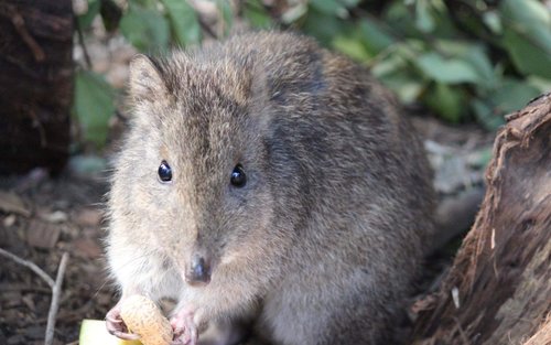 波托鲁宫动物保护区门票