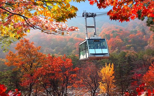 Однодневный тур из Сеула: осенние краски Сораксана / Нэджансана