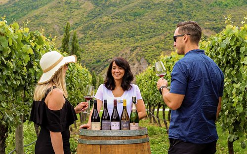 Excursion d'une demi-journée classique sur le vin de l'après-midi à Queenstown 