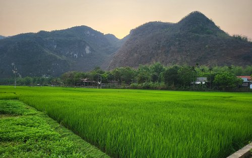Tour di un giorno nella valle di Mai Chau con partenza da Ha Noi