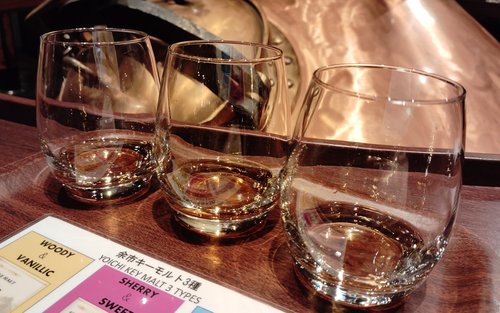 Visite privée d'une demi-journée avec dégustation au musée Nikka Whisky