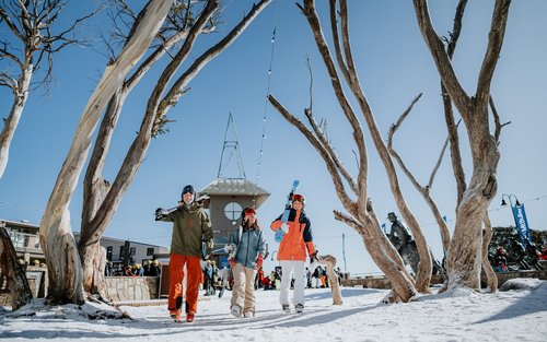 Mount Buller Melbourne Snow Transfer Private Tour