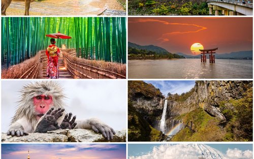 10日間 日本 (Japan) プライベートツアー：人気観光スポットを巡る旅