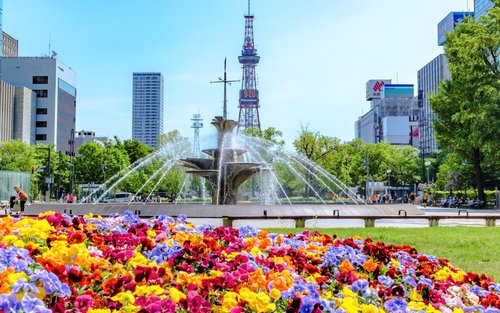Sapporo Half-Day Walking Tour with a Local Guide