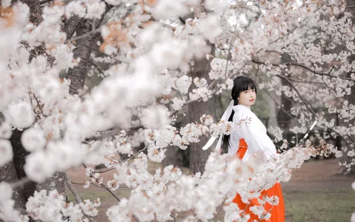 Traditionelle Hakamamiko-Kleidung aus Osaka (bereitgestellt von Oukakimono)