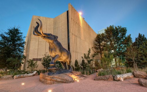 Entrada per al Museu de la Natura i la Ciència de Denver