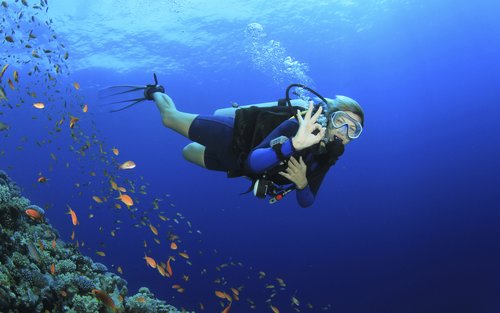 新手水肺潛水體驗（專業指導） - 夏姆沙伊赫