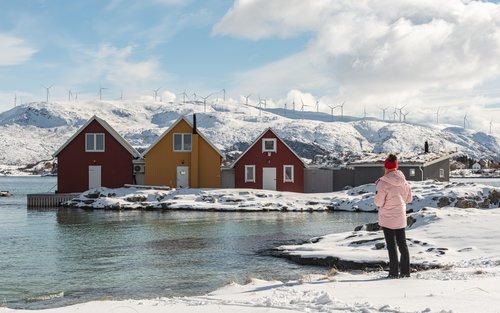 Tromsø Sommarøy & Kvaloya Half-Day Mountain & Wildlife Adventure