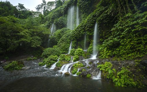 Lombok Waterfalls and Monkey Forest Private Day Tour