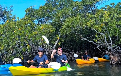 Noosa Heads: Hidden Waterways & Wildlife Kayak Tour - Self Guided